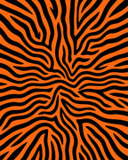 Bold Orange Black Zebra Stripes Rug