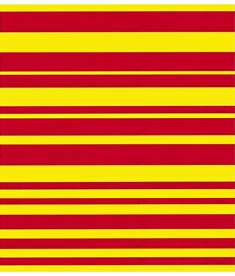 Bold Red Yellow Horizontal Stripes Rug