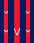 Bold Red White Chevron Stripes Rug