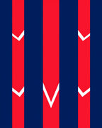 Bold Red White Chevron Stripes Rug