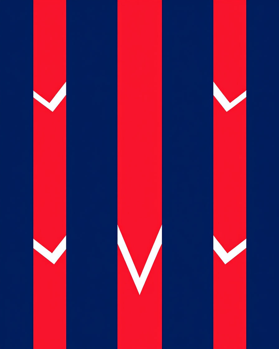 Bold Red White Chevron Stripes Rug