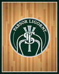 Green Emblem Wood Grain Rug