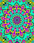 Vibrant Magenta Teal Floral Medallion Rug