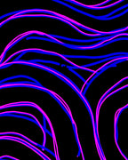 Radical Electric Blue Pink Swirls Rug