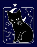 Midnight Black Cat Celestial Night Rug