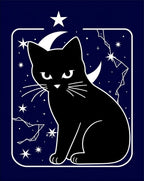 Midnight Black Cat Celestial Night Rug