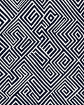 Retro Black White Geometric Maze Rug