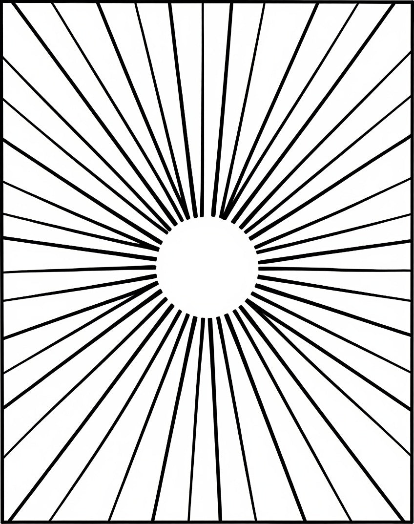 Radial Sunburst Black White Rug