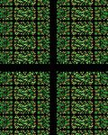 Emerald Green Abstract Organic Grid Rug