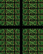 Emerald Green Abstract Organic Grid Rug