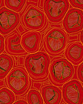 Crimson And Gold Organic Circles Rug