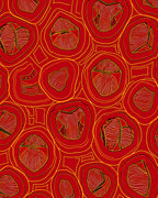 Crimson And Gold Organic Circles Rug