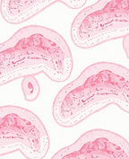 Pastel Pink Amorphous Swirls Rug