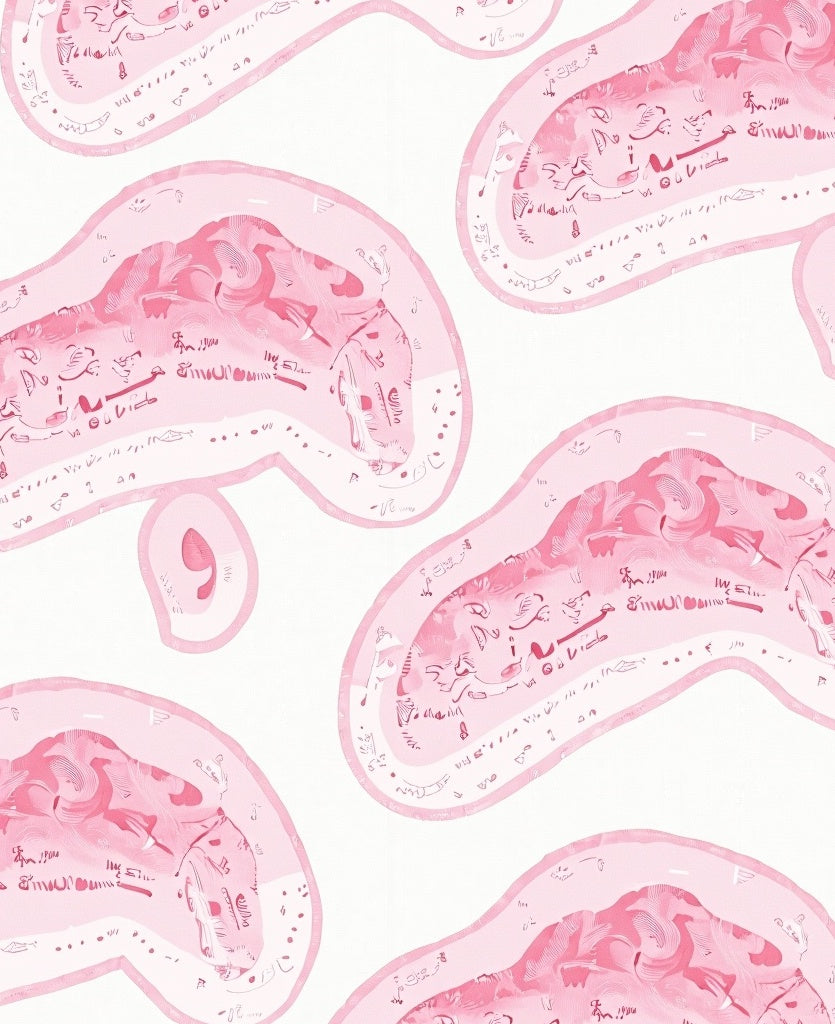 Pastel Pink Amorphous Swirls Rug