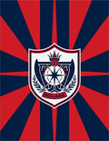 Crimson Navy Radiant Crest Rug