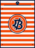 Bold Orange and Navy Stripe Emblem Rug
