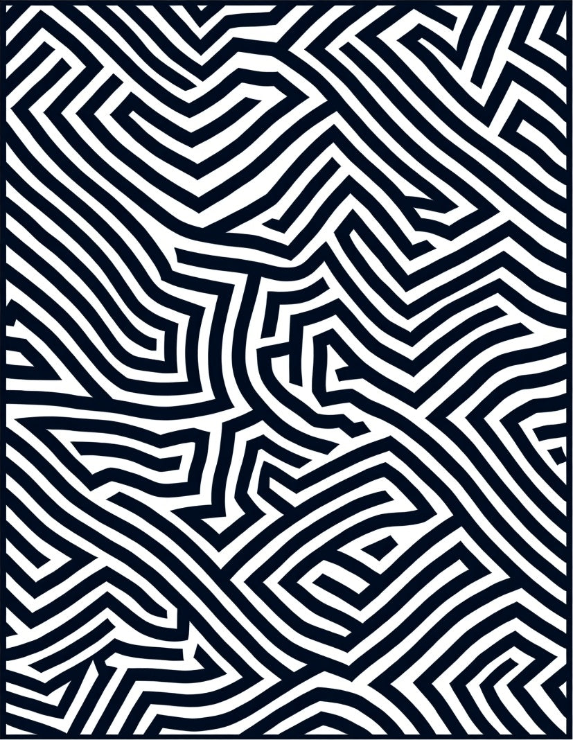 Modern Black White Maze Lines Rug