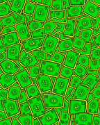 Green Wavy Money Pattern Rug