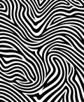 Organic Black and White Swirl Rug