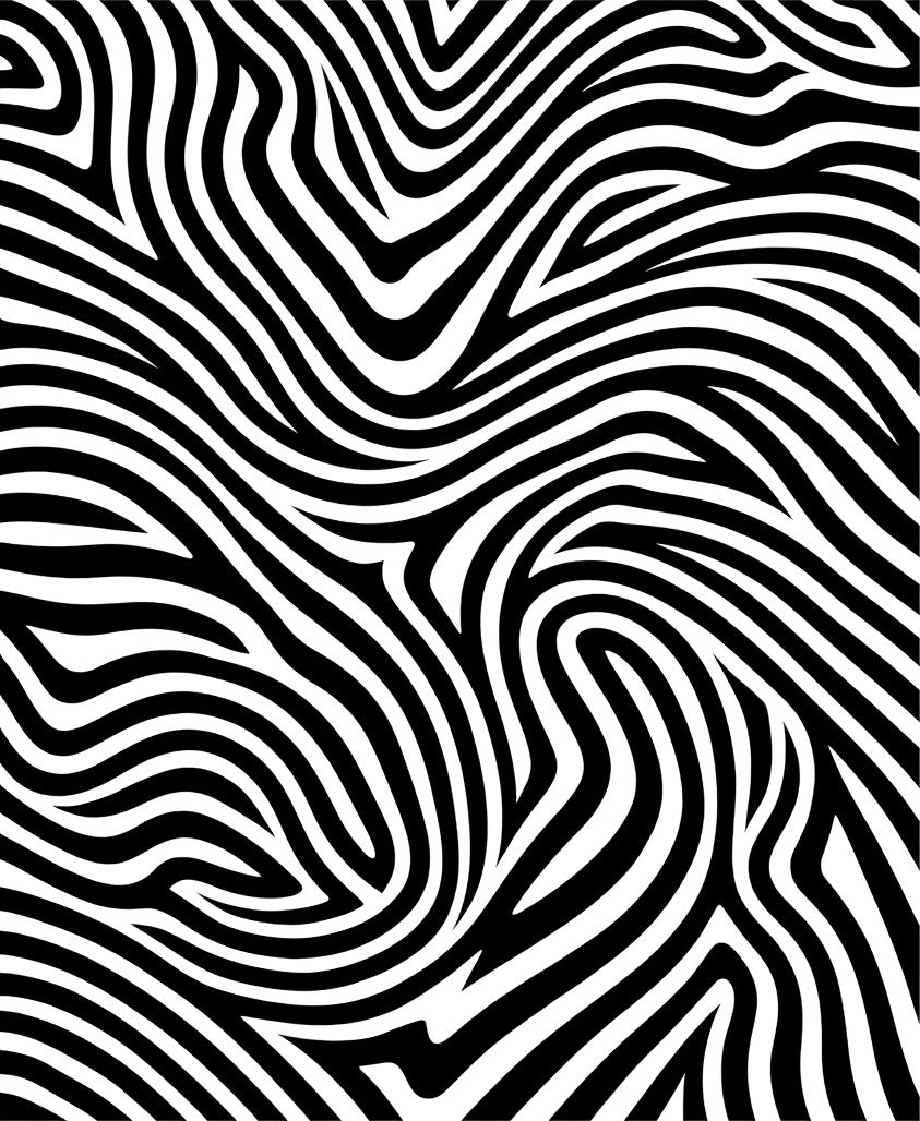 Organic Black and White Swirl Rug