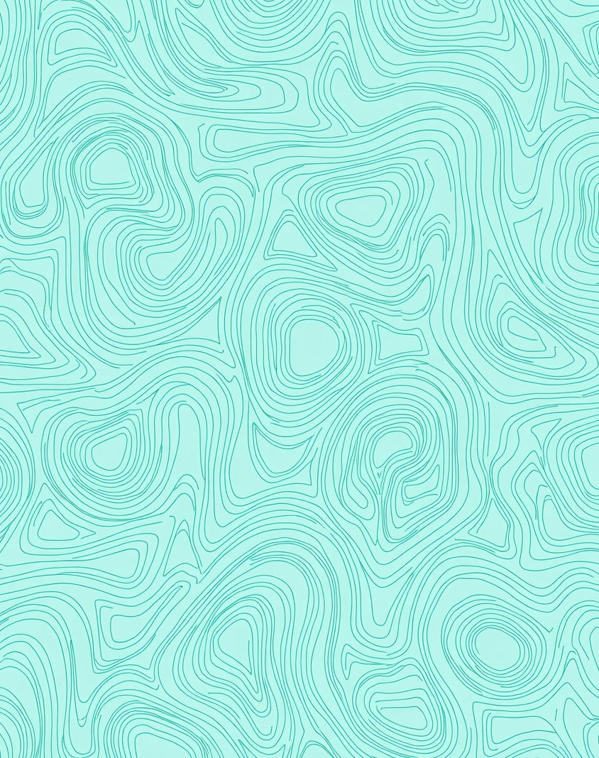 Aqua Topographic Contour Lines Rug