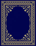 Regal Gold Bordered Navy Floral Frame Rug