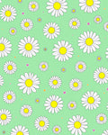 White Daisy Garden Mint Background Rug