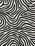 Black White Organic Abstract Lines Rug