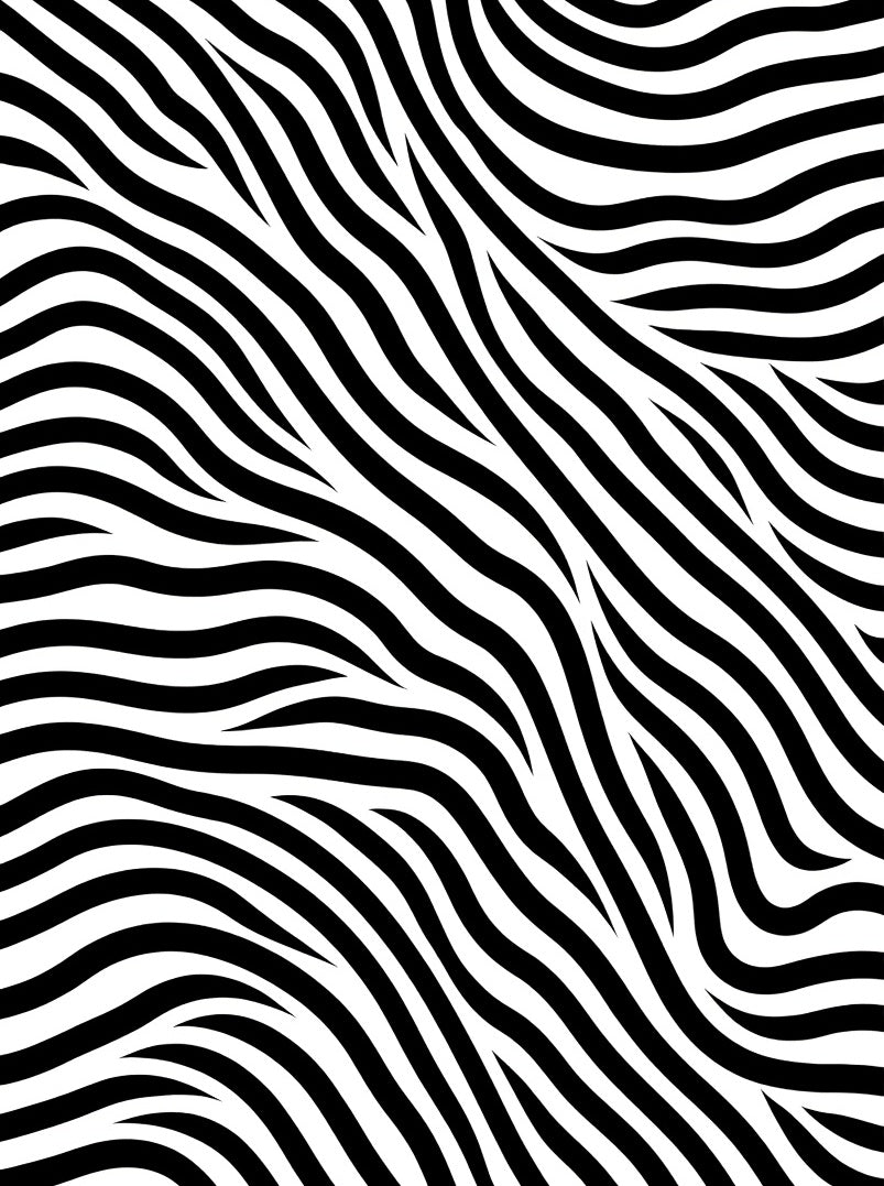 Black White Wavy Stripes Rug