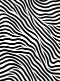 Black White Wavy Stripes Rug