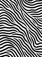 Black White Wavy Stripes Rug