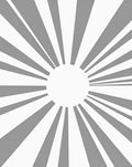 Modern Gray Sunburst Rays Rug