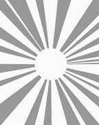 Modern Gray Sunburst Rays Rug