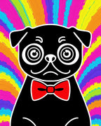 Groovy Black Pug Red Bowtie Rainbow Rug