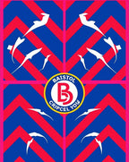 Bold Blue Red Zigzag White Birds Rug