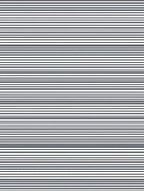 Modern Black White Fine Stripes Rug