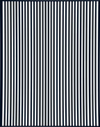 Bold Black White Vertical Stripe Rug