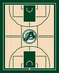 Green Athletic Court Wood Grain Rug