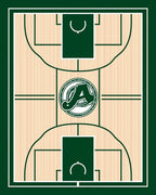 Green Athletic Court Wood Grain Rug