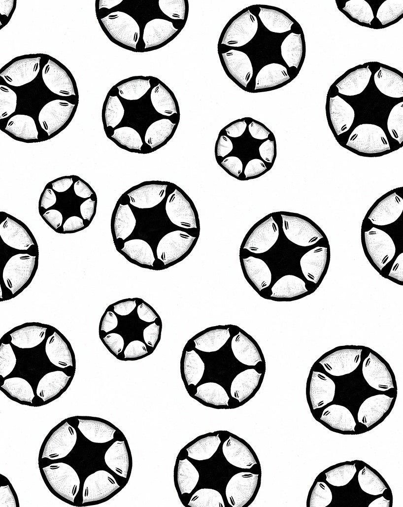 Black and White Starburst Scatter Rug