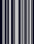 Dark Navy White Vertical Stripe Rug