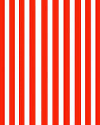 Bold Red White Vertical Stripe Rug