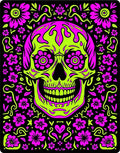 Neon Skull Floral Fiesta Rug