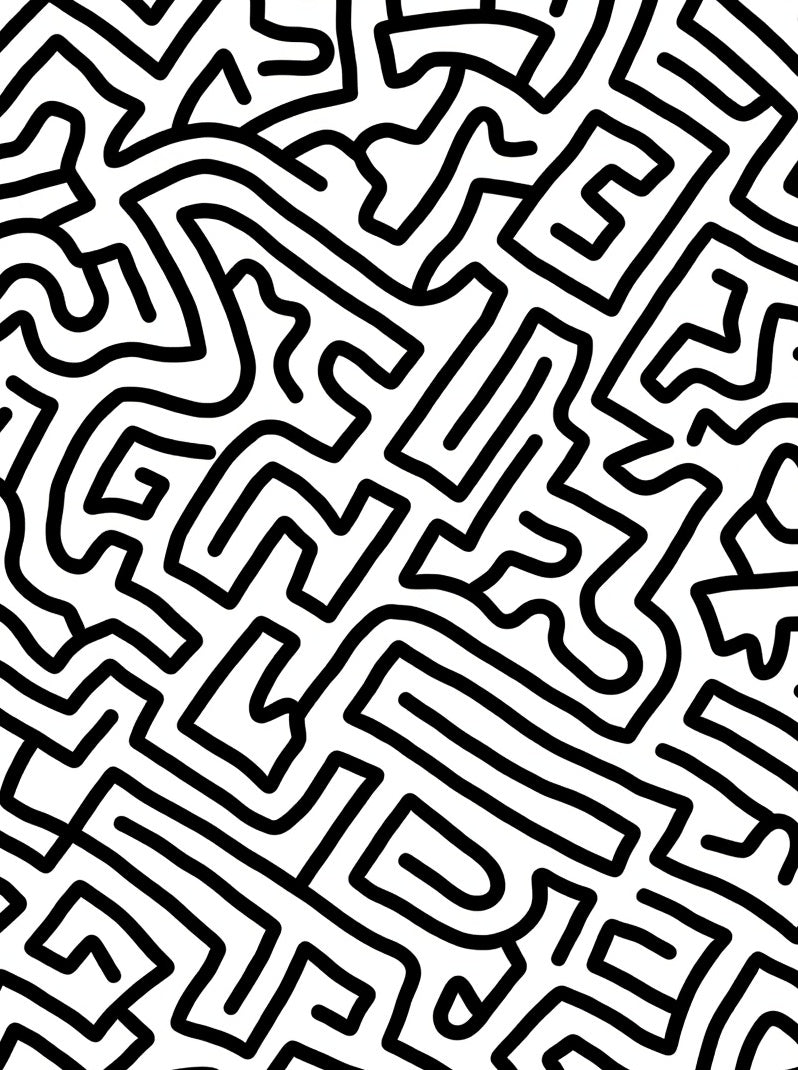 Bold Black White Labyrinth Lines Rug