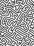 Bold Black White Labyrinth Lines Rug