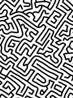 Bold Black White Labyrinth Lines Rug