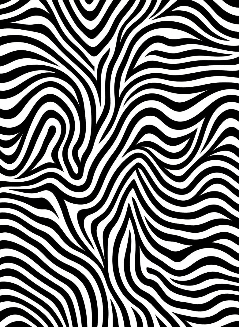 Bold Zebra Stripe Abstract Rug