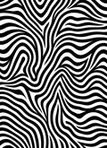 Bold Zebra Stripe Abstract Rug