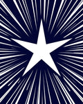 White Star Burst Navy Rug
