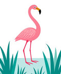 Pink Flamingo Tropical Grass Water Rug